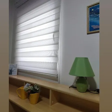 S - Dsn Kraljevo