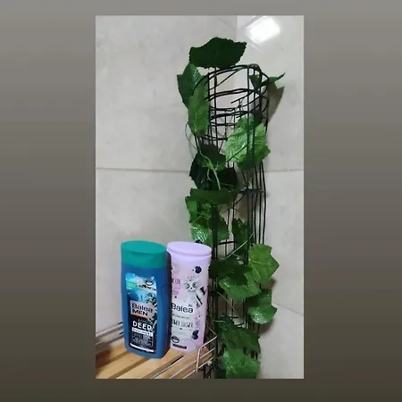 S - Dsn Apartamento Kraljevo