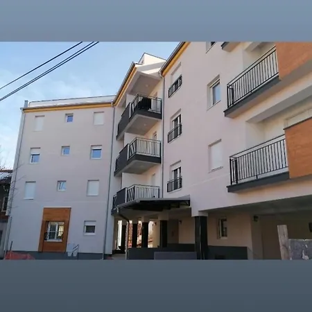 S - Dsn Kraljevo