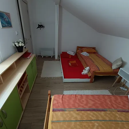 S - Dsn * Kraljevo