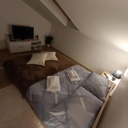 S - Dsn Apartment Kraljevo
