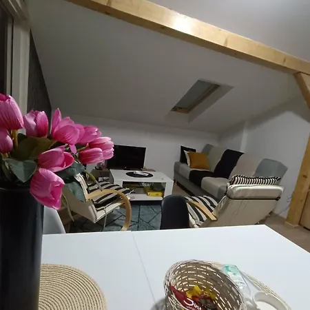 S - Dsn * Kraljevo