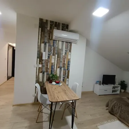 S - Dsn Kraljevo