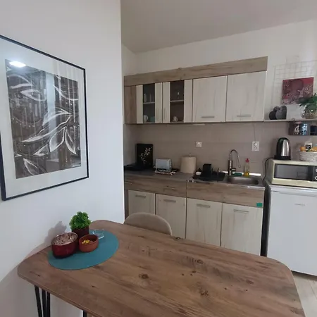 Apartment S - Dsn Kraljevo